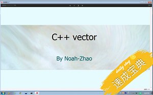 C/C  -Vector讲解-P8