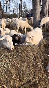 Another day on the farm! | Ken Berry