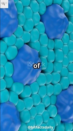 Why Some People Can See Colors You Didn’t Know Existed Tetrachromacy Explained