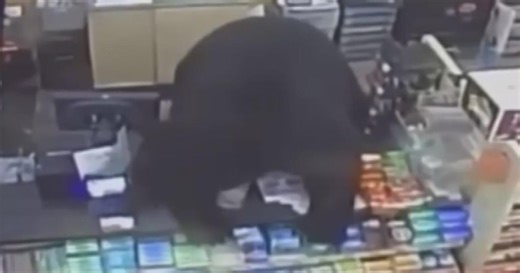 Shocking video shows bear chasing boy into Pennsylvania dollar store