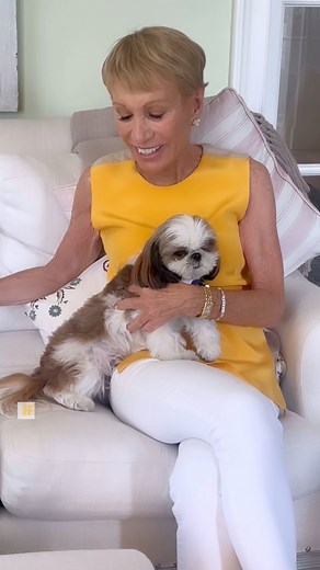 84K views · 1.4K reactions | Work hard, play hard!  Max agrees, do you? #business #work #fun #playhard #workhardplayhard #monday #mondaymotivation #mondaymood #mondays | Barbara Corcoran | Facebook