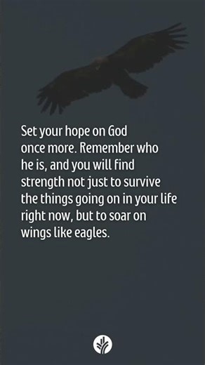 Our Daily Bread | 1 Minute Meditations | Guided Biblical Meditation