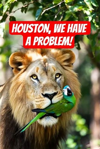 Skunk Special Forces🦨 vs. 🦁Lion | Funny moments 😂