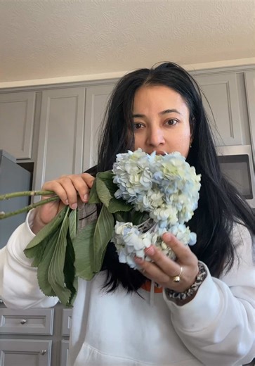 How to Revive Your Hydrangeas with Easy Care Tips