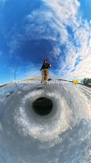 How to Catch Large Largemouth Bass