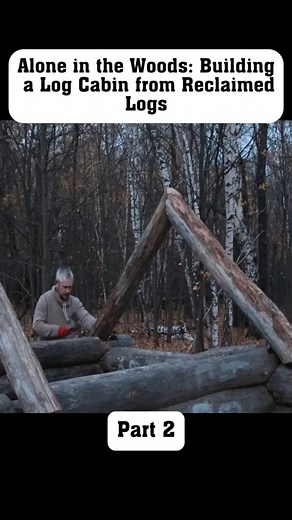 44K views · 172 reactions | Part 2... Building a Log Cabin #camping #buildhouse #bushcraft #outdoorcamping #crafts #campinglife #winter #treehouse #outdoor | Giant Snow Camping | Facebook