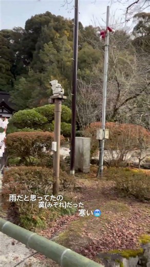 京都 ⛩上賀茂神社⛩ #京都 #上賀茂神社