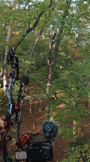 Broadside at 30 yards. Public land with no expectations is what I love.. having my friends there to help me drag him out and be apart of the recovery process was awesome | Walker Ross