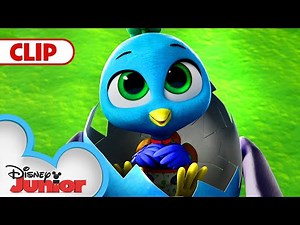 Find The Easter Egg 🐣 | T.O.T.S. | ‪@disneyjr‬ ​