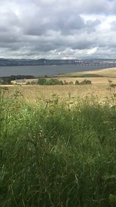 25K views · 139 reactions | The roe rut is starting! | Deer Scotland | Facebook