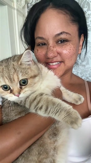 Gigi the cat purrs constantly — what it means