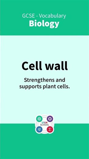 GCSE Biology Vocabulary - 10. #exam #edexcel #biology #aqa #ocr #gcse #gcsebiology