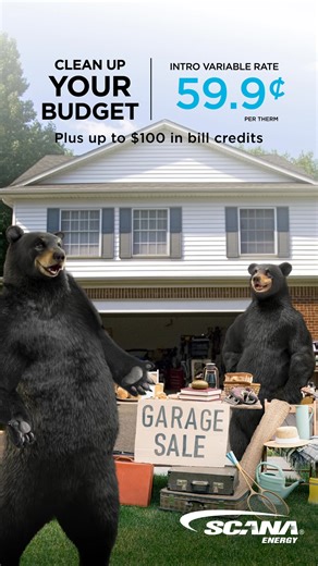 Natural gas savings to fall in love with. | SCANA Energy