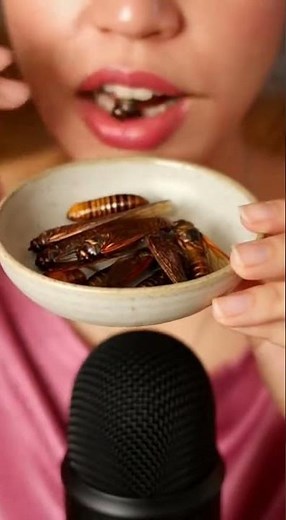 Crispy Edible Insects ASMR Experience