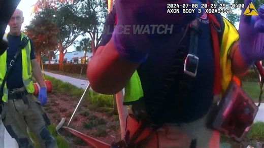 62K views · 963 reactions | Unlicensed Mom Crashes With Child in Car, Then Plays the Victim | Fear Thy Neighbor | Facebook