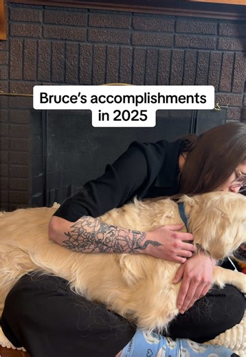 Bruce: Incredible Rescue Dog Achievements in 2025