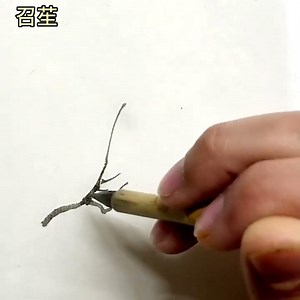 第 6 集 | 画枝的三要素#中国山水画画法 #一分钟干货教学 #国画树的画法 #国画山水#芥子园 收起 #art #国画技法