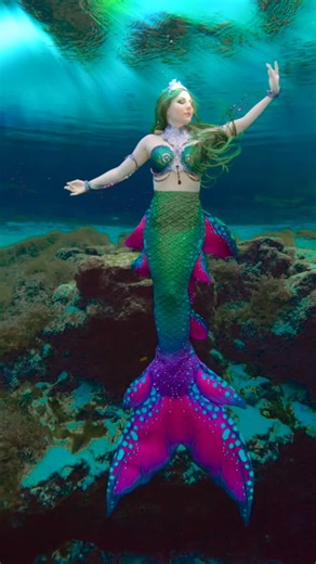 The Finbella Spring Collection is now available 🧜‍♀️🧚✨ Visit www.finfolk.com to shop Signature & Discovery tails, matching apparel and Finbella collection merch! Tails available while stock lasts so don’t delay grabbing those! 🧜‍♀️ @thevirginiamermaid @mermaid.attina @blacklagoonsiren @mermaidmeshpa Xo @finfolkproductions & @merbellastudios #mermaid #finfolk #mermaidtail #finfolkproductions #fabricmermaidtail | Finfolk Productions