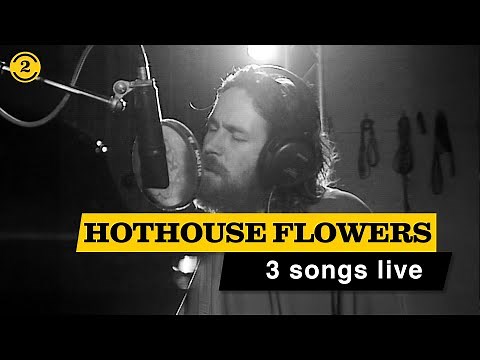 HOTHOUSE FLOWERS - Live in 1993 | DON'T GO, AN EMOTIONAL TIME, BE GOOD on 2 Meter Sessions
