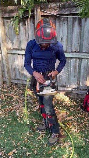 Tree service in Miami