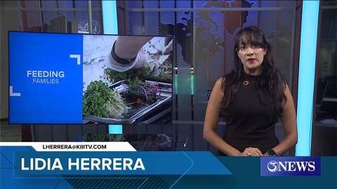Local microfarm launches program to feed 100 Coastal Bend families