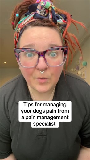 🐾 Tips for painful dogs🐾 🐟 Omega fatty acids are phenomenal for managing inflammation, a given with a painful dog. Oily fish is my preference but algae oil is also a great alternative 🦴 Bone broth, not only tasty and hydrating but jam packed with glucosamine and chondroitin, the building blocks of joint! Hydrating and wonderful for gut health, @karnleabonebroth is my go to 🤩 💊 Pain meds aren’t the enemy, they can really support a painful dog. Ensure medication is given as prescribed and th