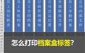 用Excel打印档案盒标签