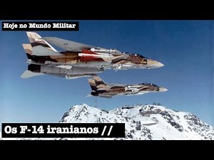 The Iranian F-14s