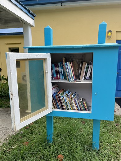 Need a Good Book? Go to Your Nearest Little Free Library