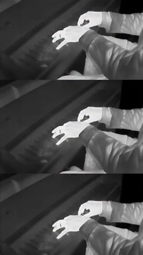 REAL ESTATE the music video - shot entirely on a thermal camera in the middle of the night. Have you watch it yet on YouTube? | little image