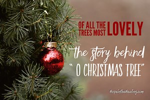 Of all the trees most lovely...the story behind "O Christmas Tree" -