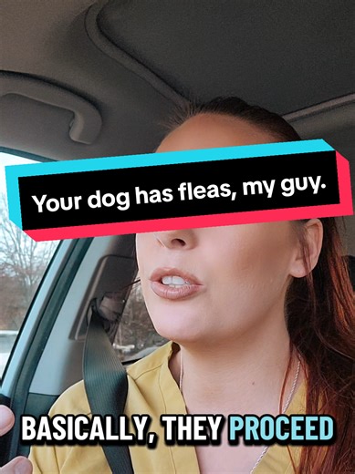 Effective Flea Treatment for Your Dog