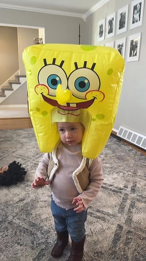 Who Lives in a Pineapple Under the Sea? SpongeBob SquarePants Explained
