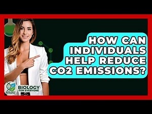 How Can Individuals Help Reduce CO2 Emissions? - Biology For Everyone