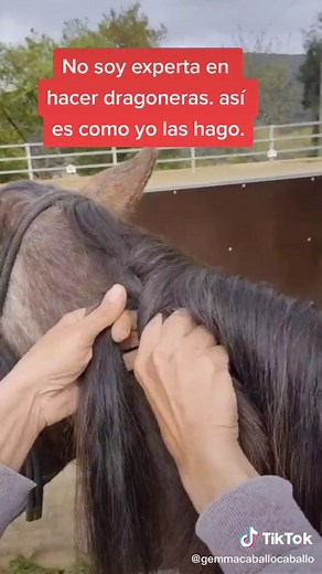 Responder a @es.paula tutorial dragonera. #caballos #yeguas #horse #potros #tutoriales #greenscreenvideo