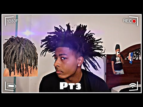 HOW TO GET FREEFORMS IN 10 MINUTES‼️