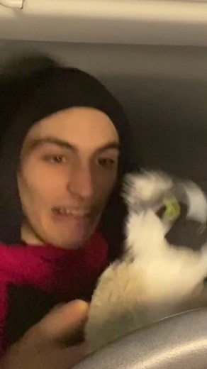 Nuevo episodio de #dorralaexplorachorra 😂 #matispano #comedia #dora