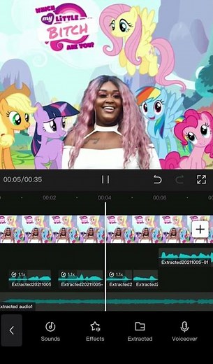 My Little Pony theme song X V*gina by CupcakKe remix