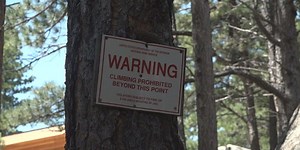 Visitors tried to climb Mount Rushmore
