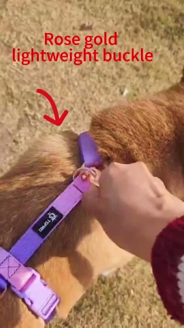 TSPRO Lightweight Dog Leash with Padded Traffic Handle and Metal Clip