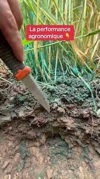 💦 Did you know about the blue dye test to check water infiltration in soil?