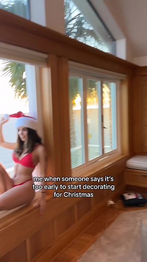 Exploring the Beauty of Daisy Blooms