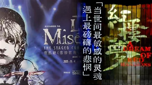 假如林黛玉看了《悲惨世界》：致所有内心丰盈者