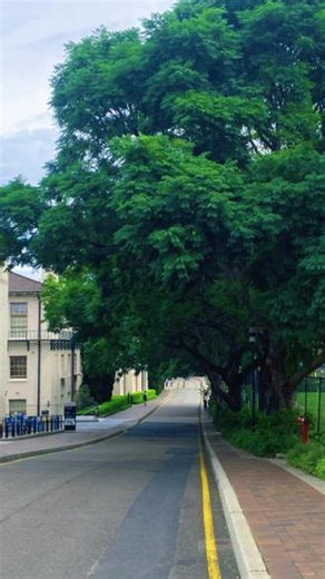 今天悉尼大学一日游，#悉尼大学 #真实生活分享计划 #海外生活 #澳大利亚