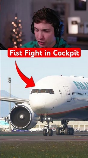 Fist Fight in Cockpit
