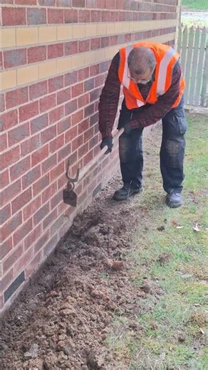 How to remove rodents in Dandenong, VIC | Pest Soldiers | Professional Pest Control Melbourne