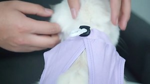 Watch Using The Tutorial on Amazon Live