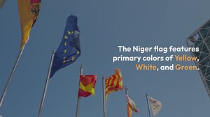 Niger Flag Colors
