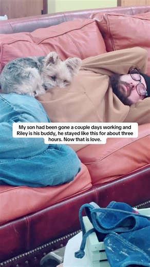 #foryou🔥🔥🔥🔥🔥🔥🔥ffor #creatorsearchinsights #mamsbestfriendlikefamily #sleppydog #dogbuddy