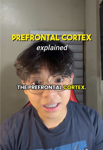 Bakit Kailangan Mong Maunawaan ang Prefrontal Cortex?
